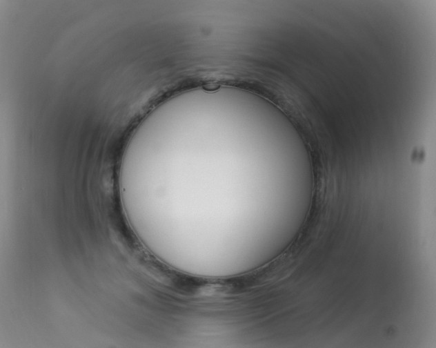 X0000113960700200909251027