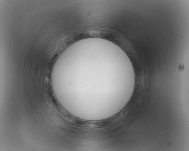 X0000113960702200909251027