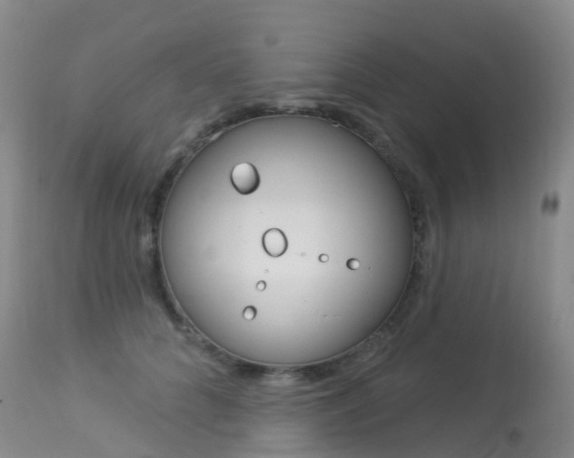 X0000113960704200909251027