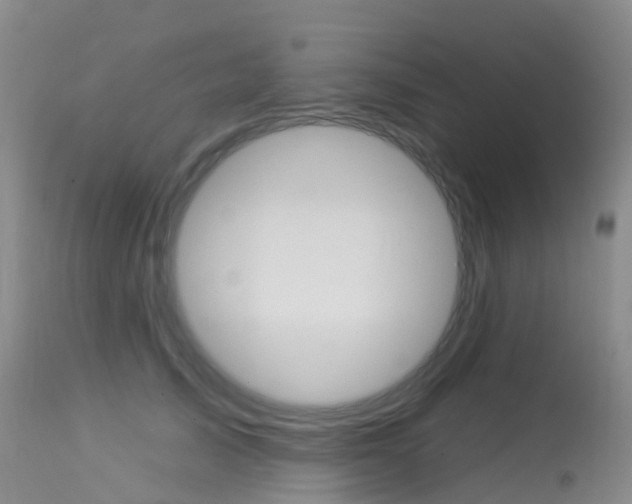 X0000113960705200909251027