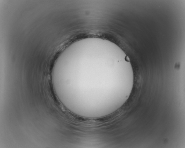 X0000113960707200909251027