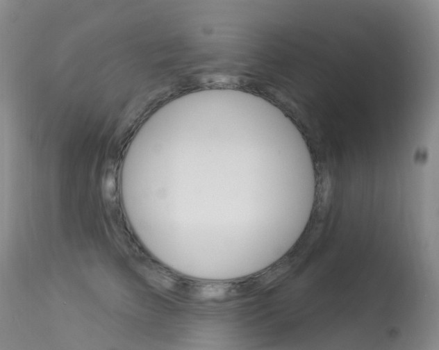 X0000113960709200909251027