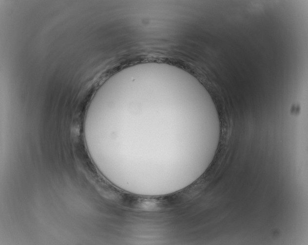 X0000113960710200909251026