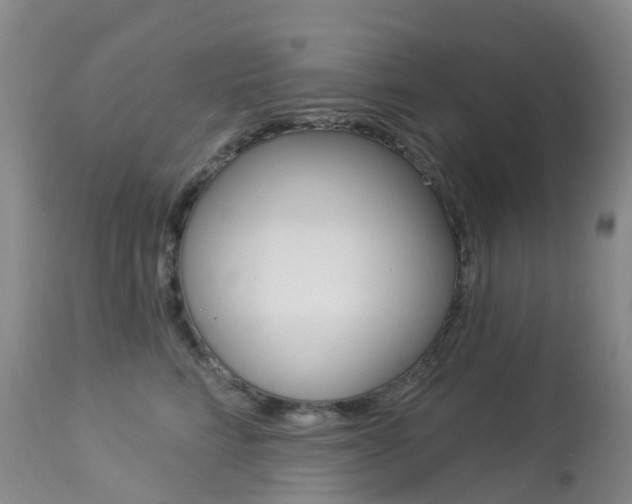 X0000113960712200909251026