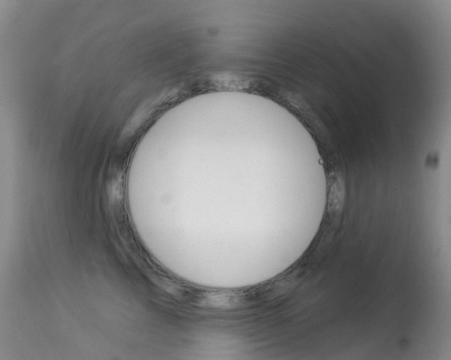 X0000113960713200909251026