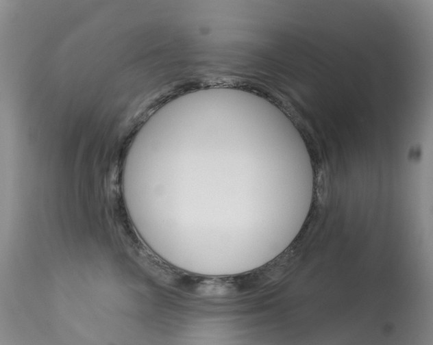 X0000113960714200909251026