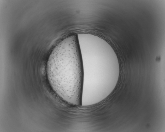 X0000113960715200909251026