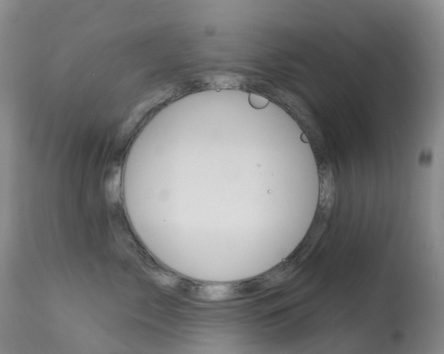 X0000113960717200909251026
