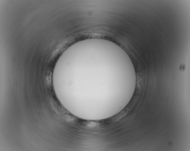 X0000113960718200909251026
