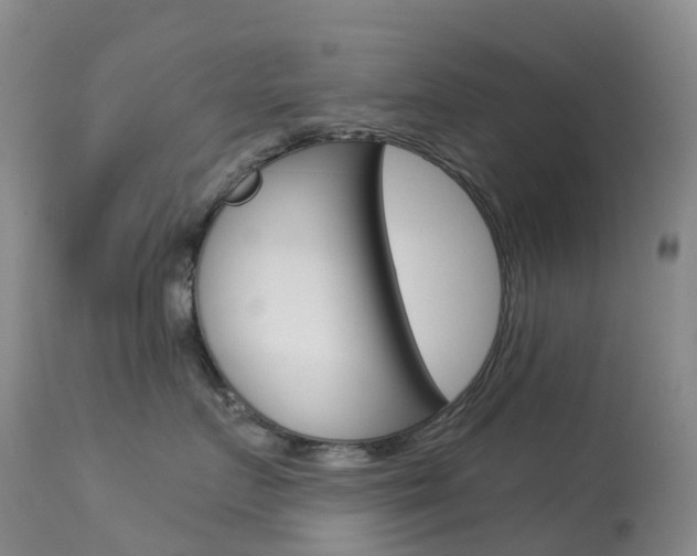 X0000113960719200909251026