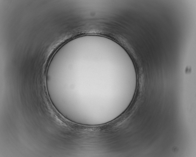 X0000113960721200909251025