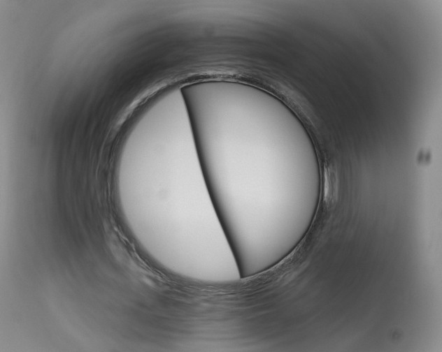X0000113960723200909251025