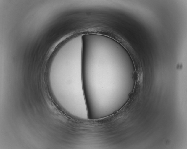 X0000113960724200909251025
