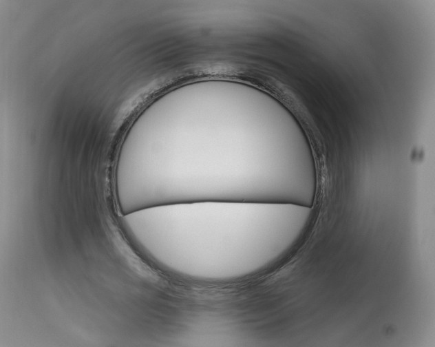 X0000113960725200909251025