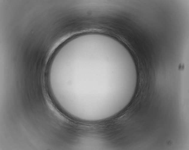 X0000113960726200909251025