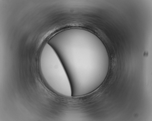 X0000113960727200909251025