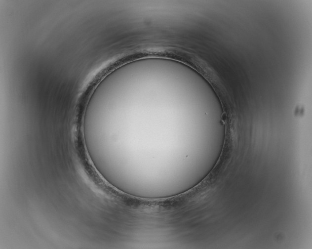 X0000113960728200909251025