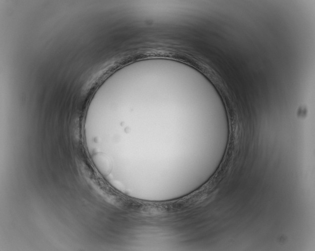X0000113960729200909251025