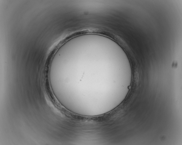 X0000113960730200909251025