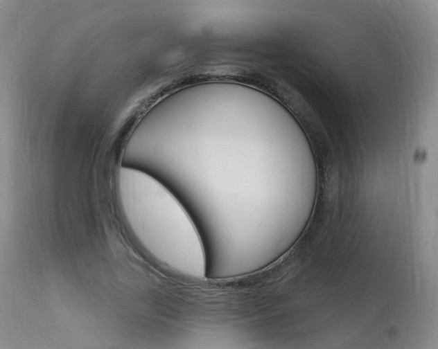 X0000113960731200909251025