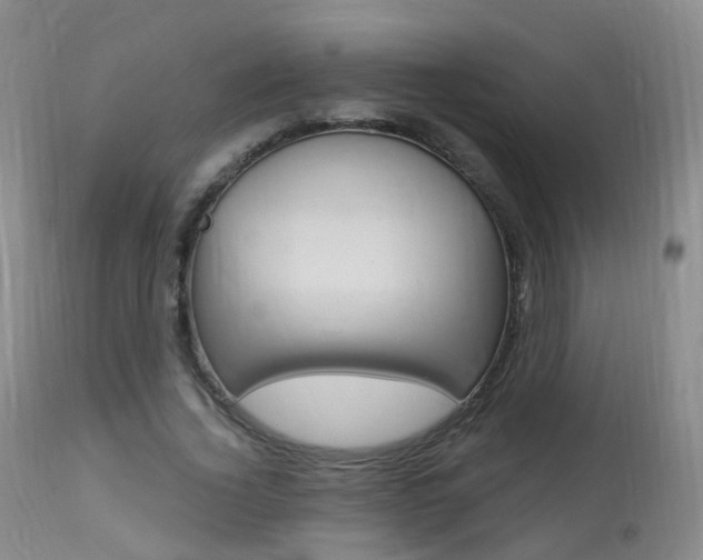 X0000113960732200909251025