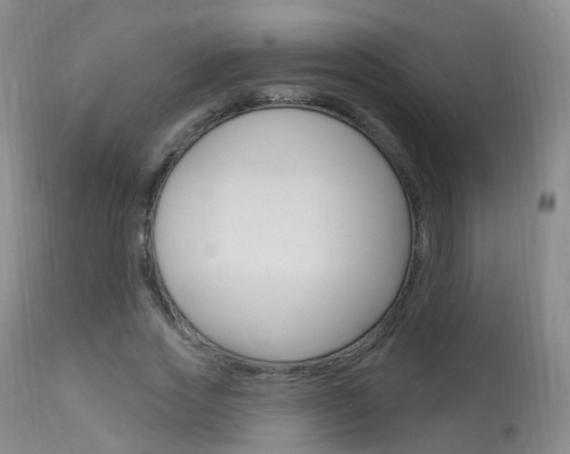 X0000113960733200909251025
