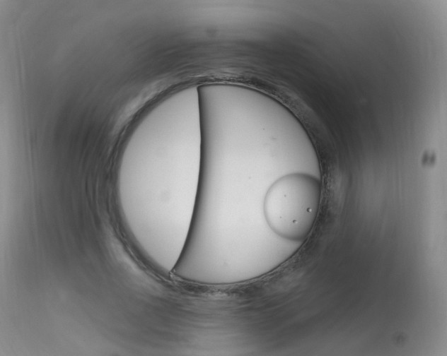 X0000113960734200909251025