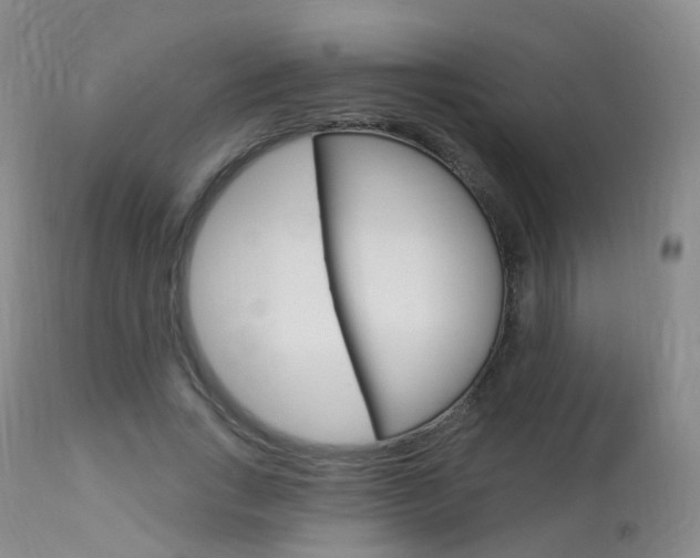 X0000113960735200909251026