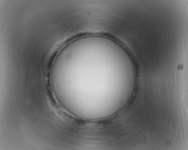 X0000113960736200909251026