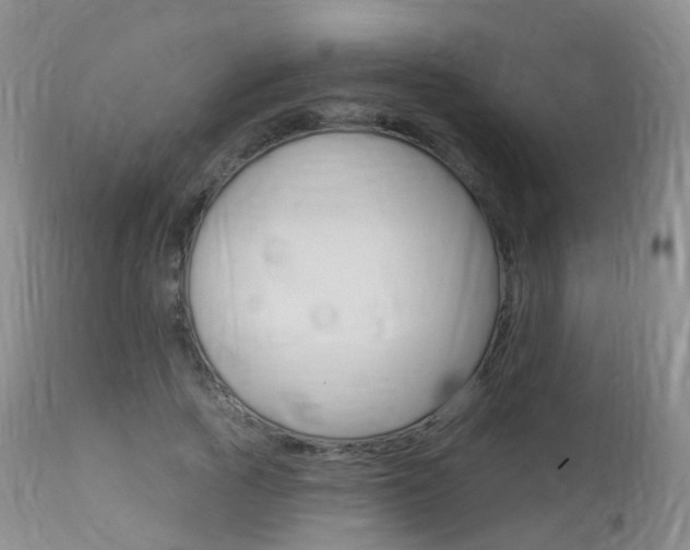 X0000113960737200909251026