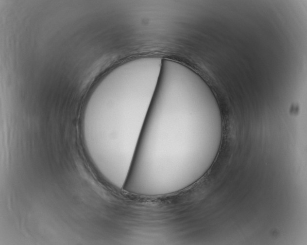 X0000113960738200909251026