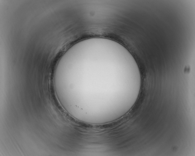 X0000113960739200909251026
