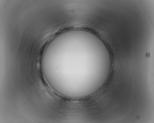 X0000113960740200909251026