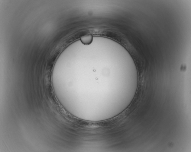 X0000113960741200909251026