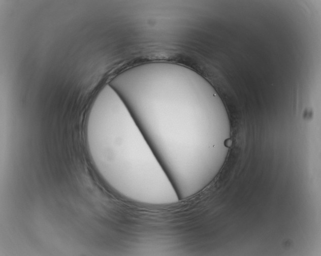X0000113960743200909251026