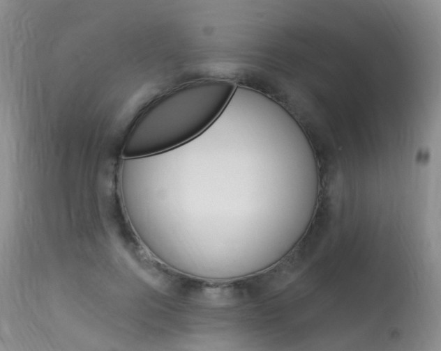X0000113960744200909251026