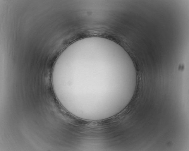 X0000113960745200909251026