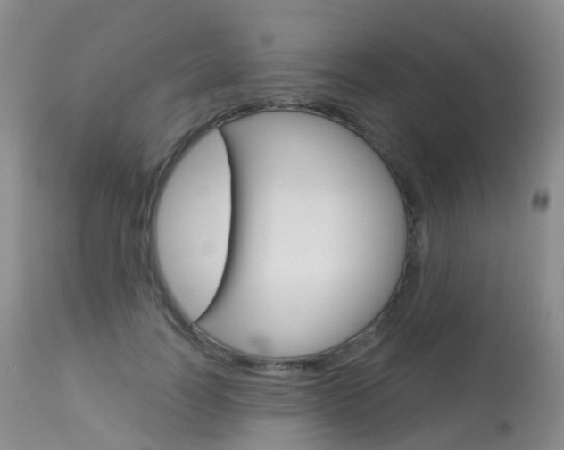 X0000113960746200909251026