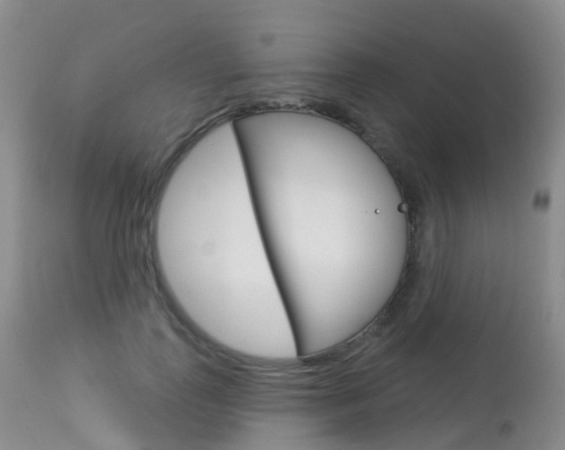 X0000113960747200909251026