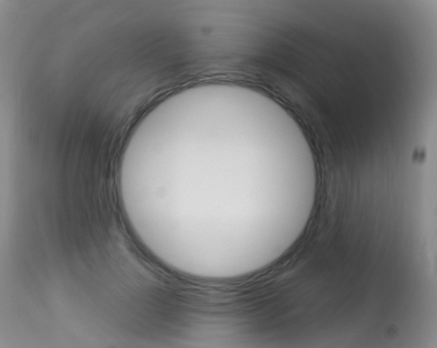 X0000113960748200909251026