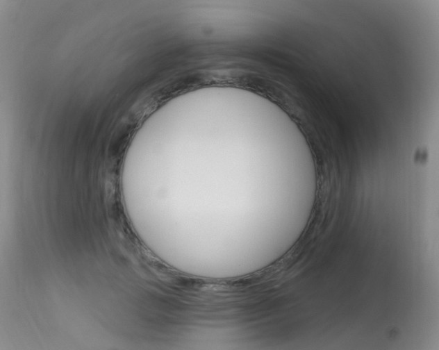 X0000113960749200909251026