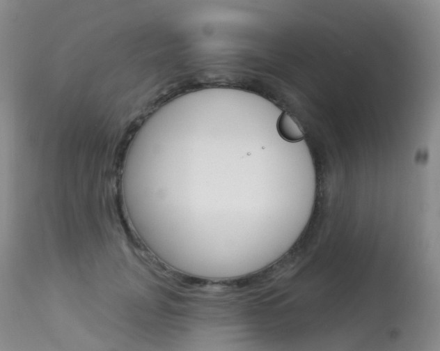 X0000113960751200909251026