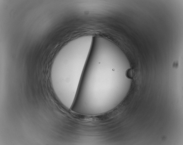 X0000113960752200909251026