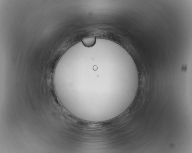 X0000113960753200909251026