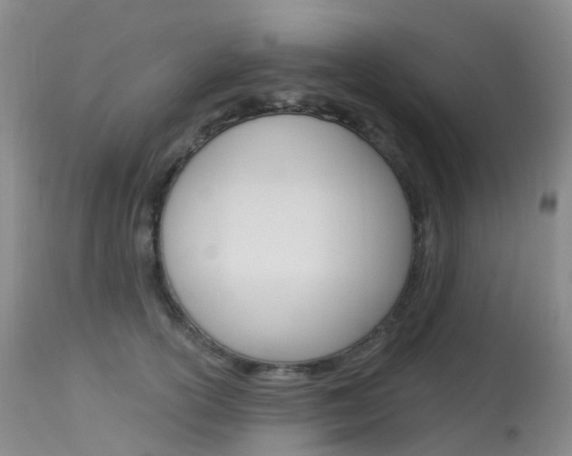 X0000113960754200909251026