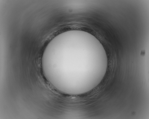 X0000113960755200909251026