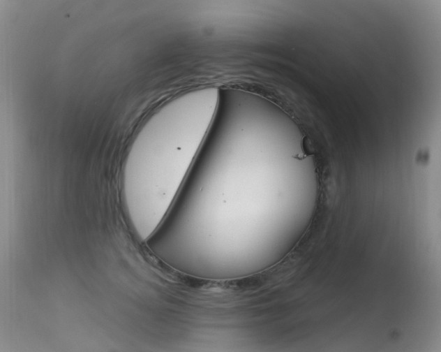 X0000113960756200909251026