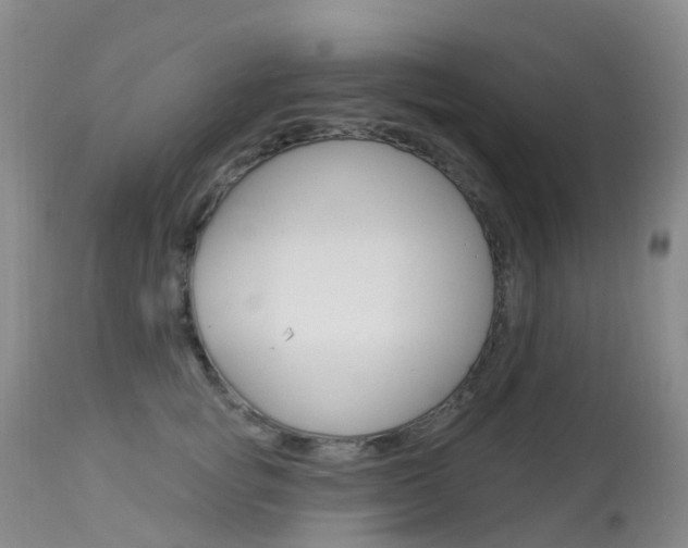 X0000113960757200909251026