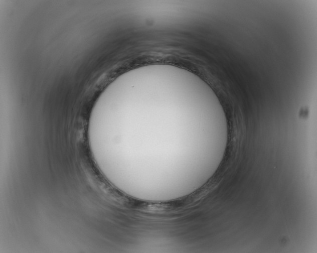 X0000113960758200909251026