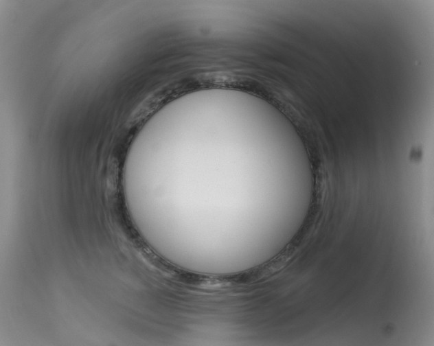 X0000113960760200909251026